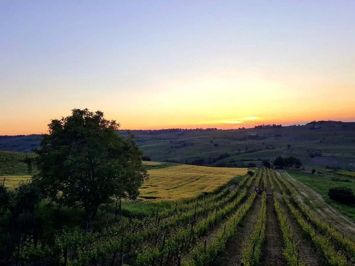 La Terrazza Sui Vigneti-Rovescala Bed and Breakfast San Damiano al Colle 0*,